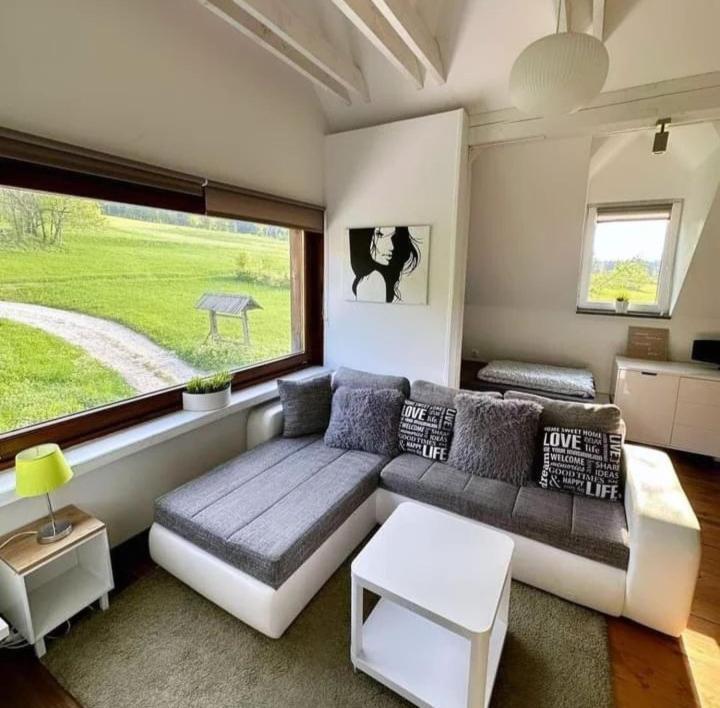 Apartments Podkoren 82 كْرانْيِسكا غورا المظهر الخارجي الصورة